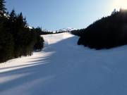 Skiroute ins Tal nach Kuznice