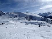 Anfängerpisten am Hahnenmoos