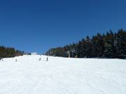 Skiabfahrt am Hundseck