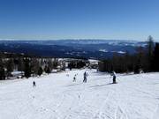 Leichte Zirbenabfahrt