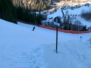 Schwarzer Brückenschuss