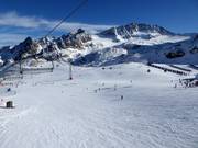 Anfängerbereich am Gamsgarten