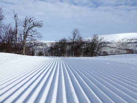 Pistenpräparierung Härjedalen – Pistenpräparierung Tänndalen