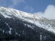 Blick auf die Waldabfahrten am North Peak