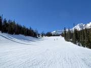 Leichte Piste Lone Wolf