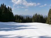 Leichte Piste in Mechi Chal