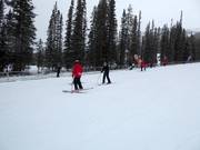 Anfängergelände Sunny Side mit Förderbändern