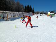Tipp für die Kleinen  - Junior Ski Zirkus