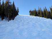 Schwere Buckelpiste Exhibition