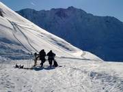Ein Herz für Selbstversorger