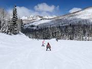 Leichte Piste an der Sesselbahn Link
