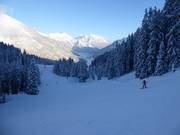 Oberer leichter Teil der Talabfahrt zur Almkopfbahn nach Bichlbach