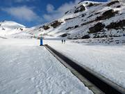 Shorty - Förderband/Zauberteppich