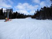 Leichte Schwarzenbergabfahrt