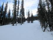 Die Monster Glades in Nakiska