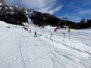 Minilift Ehrwalder Alm - Seillift/Babylift mit niederer Seilführung