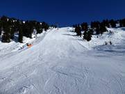 Schwarze Piste Nr. 19d am Hanser X-Press