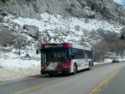 Skibus Snowbird