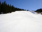 Übungsgelände am Tellerlift Galagynten