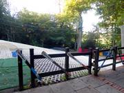 Blick auf die Nursery Slope