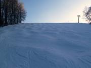 Mittlere Abfahrt am Remslift