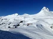 Blick auf die Damülser Mittagsspitze