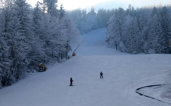 Skigebiete für Anfänger im Landkreis Cham – Anfänger Hohenbogen – Neukirchen bei Hl. Blut