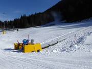 Tappeti Madessa (1,2,3) - Förderband