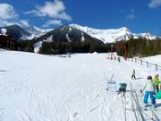 Tellerlift Mighty Moose mit leichter Übungspiste