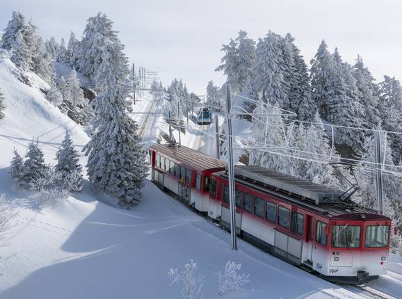 Vitznau-Rigi-Bahn - © RIGI BAHNEN AG