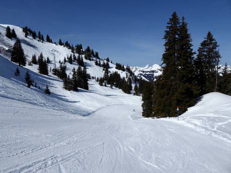 Pistenangebot Saanetal – Pistenangebot Rinderberg/Saanerslochgrat/Horneggli – Zweisimmen/Saanenmöser/Schönried/St. Stephan