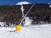 Schneilanze im Talbereich