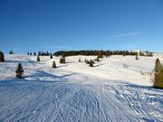 Blick auf die leichte Panoramapiste