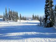 Start der leichten Pisten am Berg