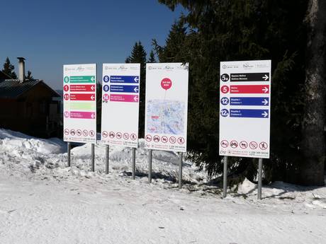 Smoljan: Orientierung in Skigebieten – Orientierung Pamporovo
