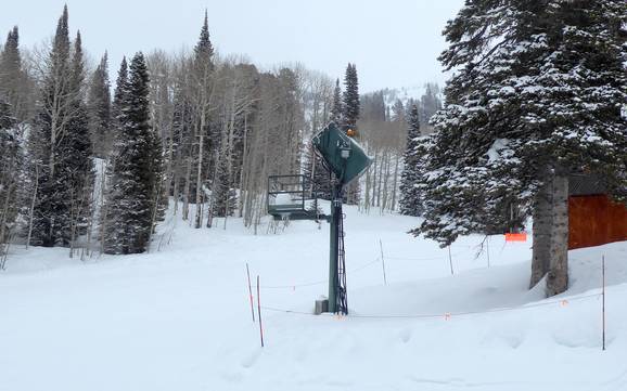 Schneesicherheit Teton Range – Schneesicherheit Grand Targhee