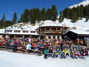 Gastronomie-Tipp Mayrl Alm