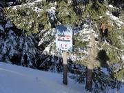 Respektiere deine Grenzen