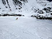Schwere Abfahrt Steinkogel vorne
