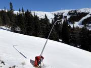 Schneilanzen im Lachtal