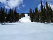 Schwere Piste Windfall