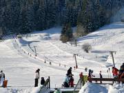 Hausleiten - Schlepplift mit T-Bügel/Anker
