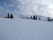 Piste Aurinkokurun Haipakka (Nr. 43)