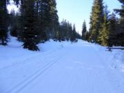 Loipe im Skigebiet Černá hora