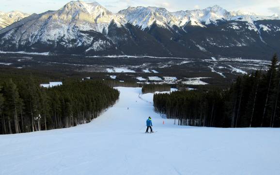 Skifahren in Kananaskis Country