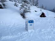 Mülleimer stehen immer bereit