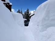 Schneemassen in Solitude