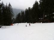 Leichte Piste des Planards