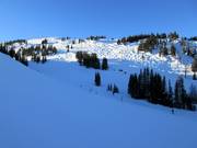 Blick auf die Abfahrten am Mount Standish