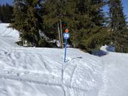 Pistenmarkierung im Skigebiet